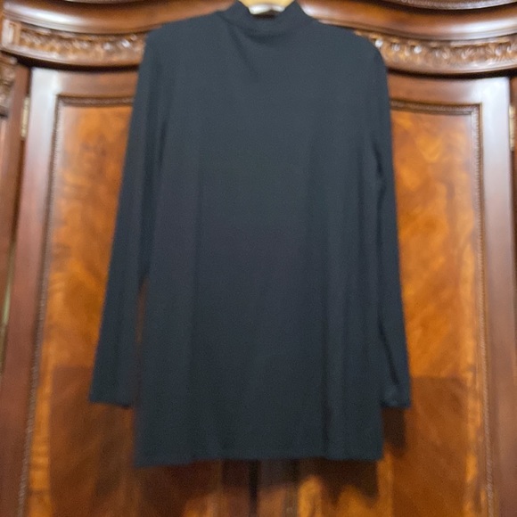 New Directions Turtleneck Tunic - Picture 3 of 6